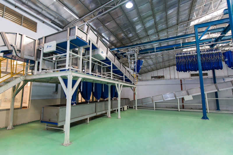 强势品牌建立 广州大型洗涤企业三力闯市场